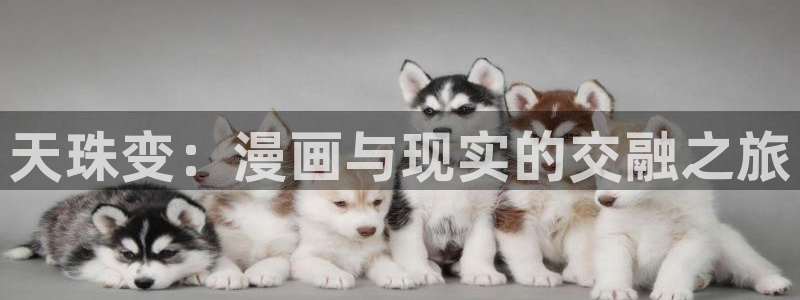 漫蛙漫画免费入口页面
