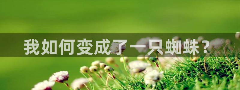 漫蛙2韩漫正版下载
