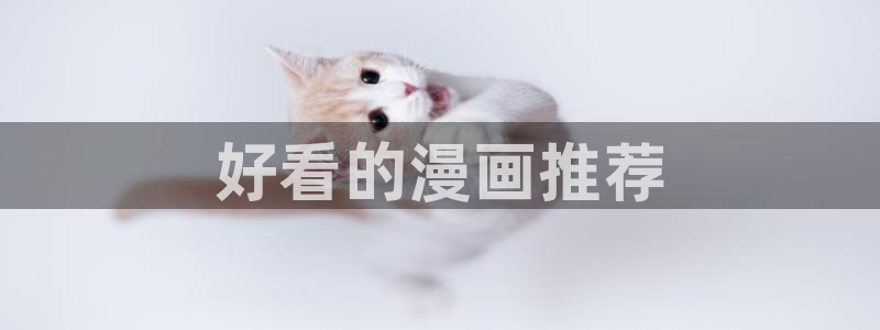 漫蛙2官网下载