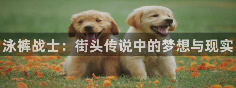 正版漫蛙漫画官网下载