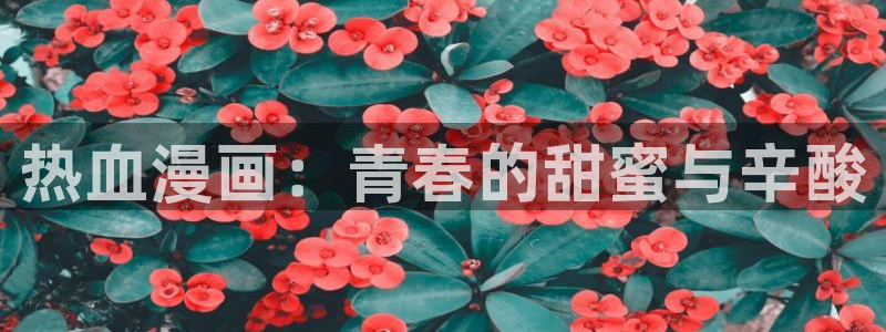 漫蛙pro
