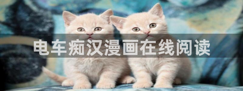 漫蛙(台版)入口韩漫