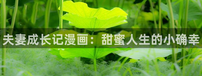 漫蛙 漫画网