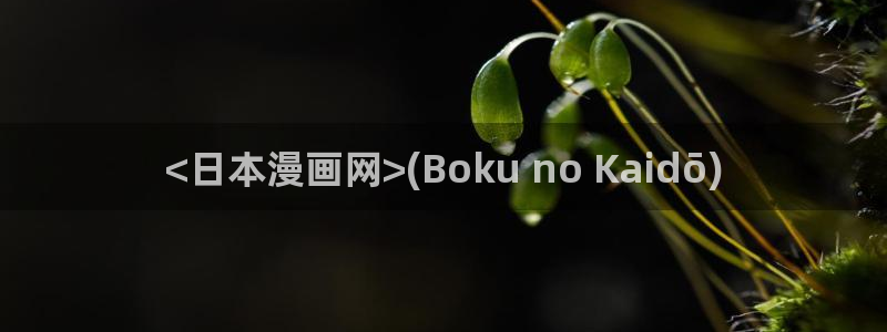 免费漫蛙2