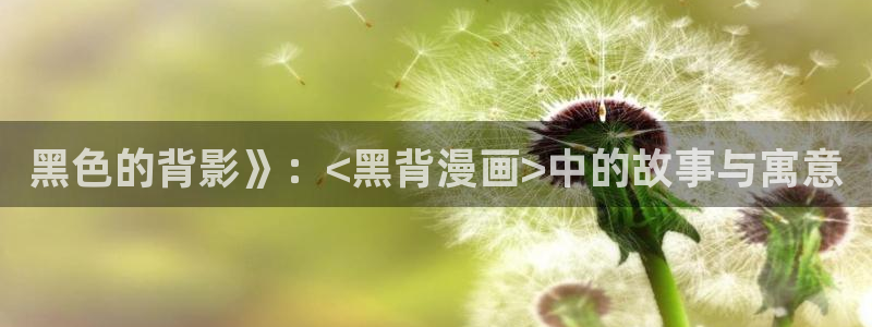 漫蛙专注：黑色的背影》：<黑背漫画>中的故事与寓意