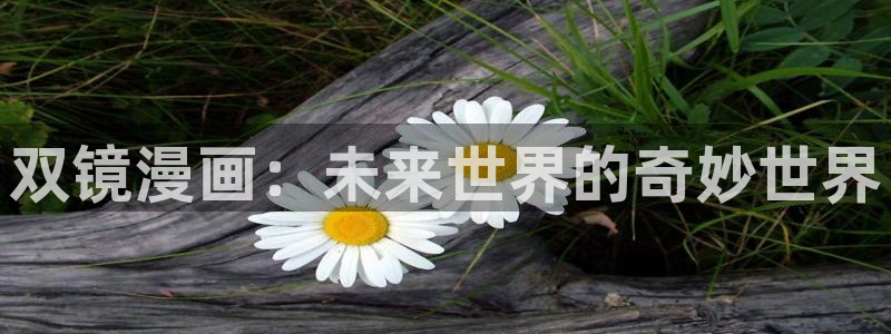 下拉式漫蛙漫画在线看：双镜漫画：未来世界的奇妙世界