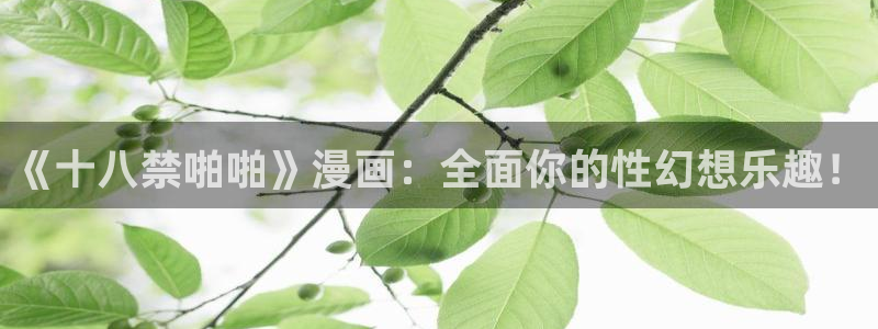 漫蛙漫画备用网址有哪些?