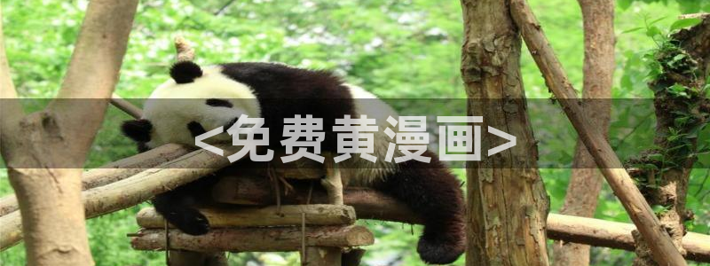 漫蛙漫画免费下载app网站
