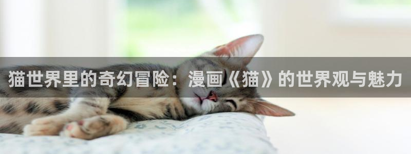 漫蛙漫画app免费下载