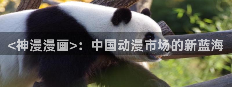 漫蛙2豆游网