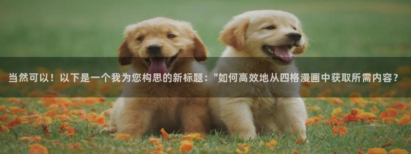 漫蛙 官网