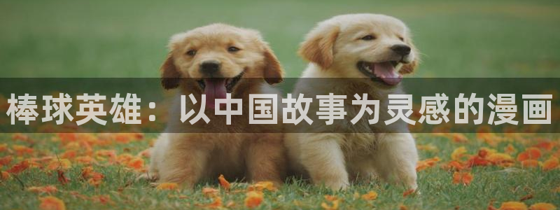 漫蛙签到