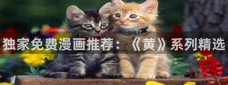 漫蛙|漫蛙网页版|漫蛙官网|漫蛙漫画