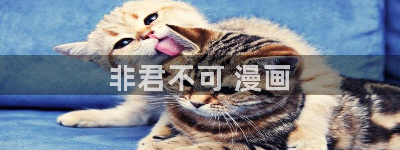 魔咒漫蛙