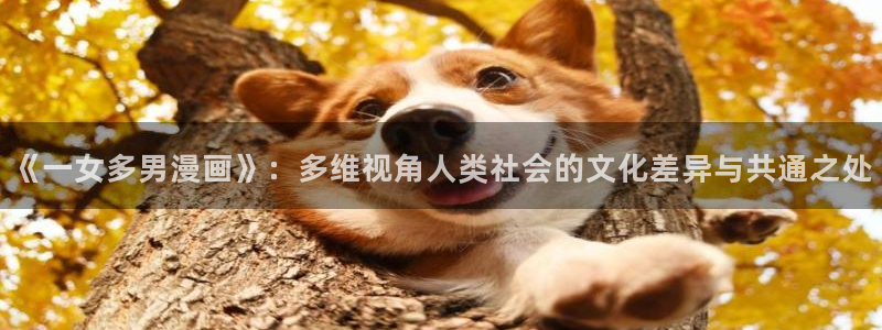 漫蛙漫画(网页入口)网版