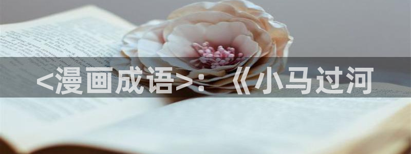 漫蛙 官网