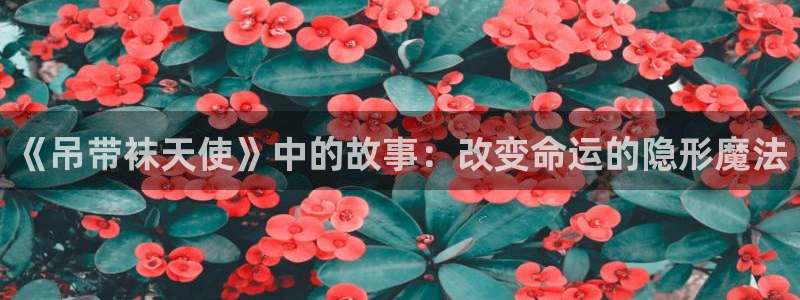 漫蛙最新版本下载